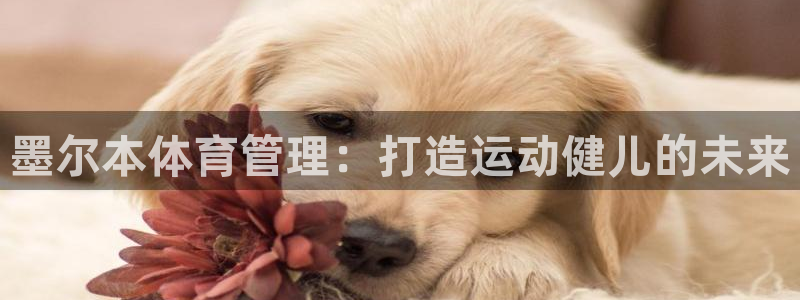 必一运动短信