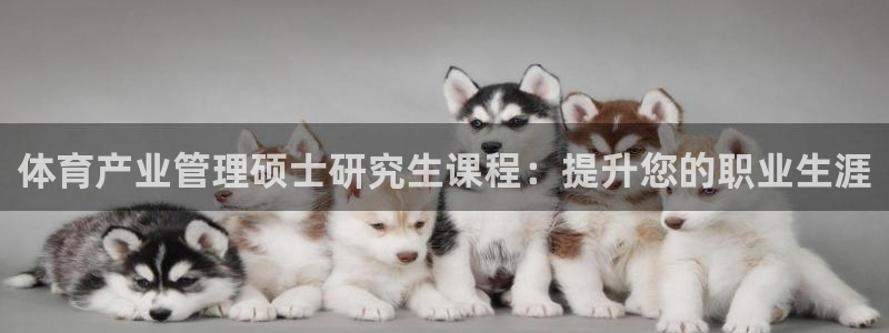 必一体育下载：体育产