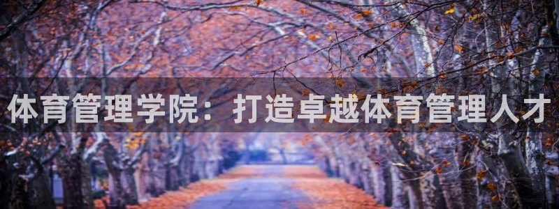 必一体育网页版登录：