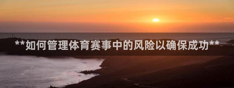 必一体育sport官