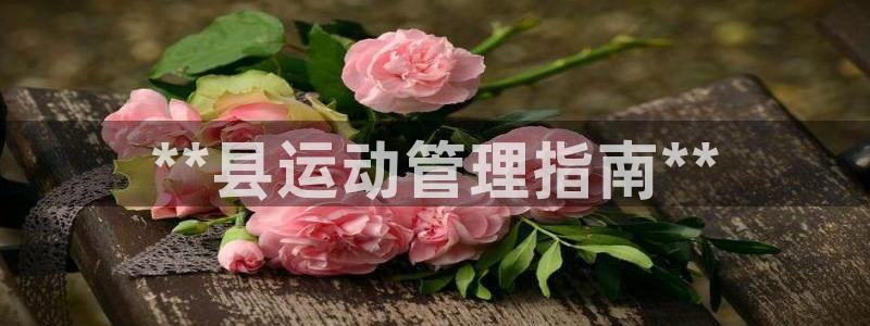 必一体育官网入口