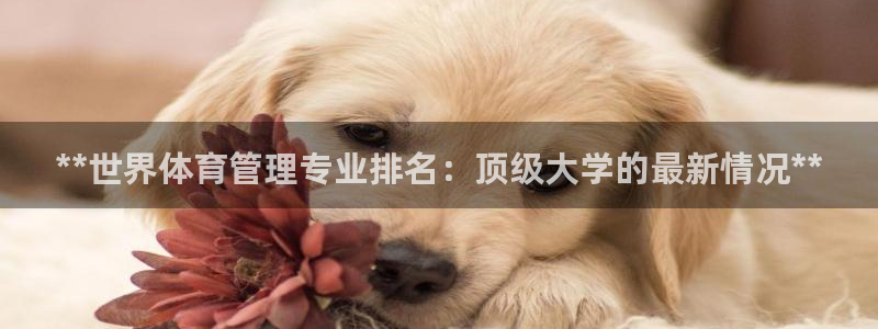 b体育必一运动网页版