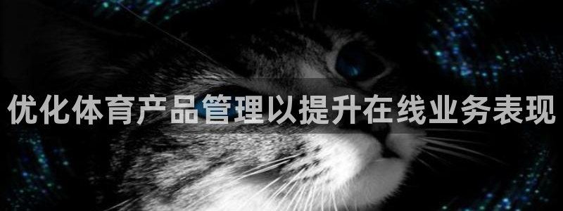 必一体育官方入口：优