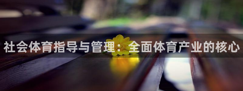 必一体育bsport下载