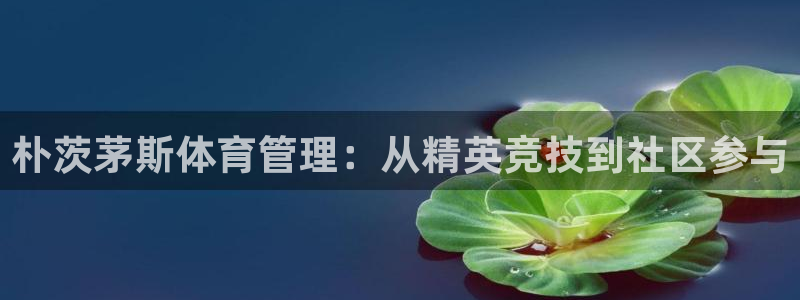 必一体育下载移动版：