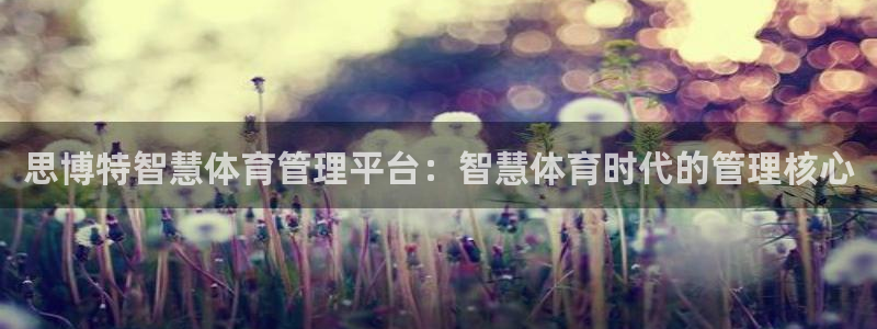 必一体育sportB体育