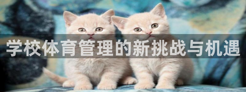 必一体育是啥