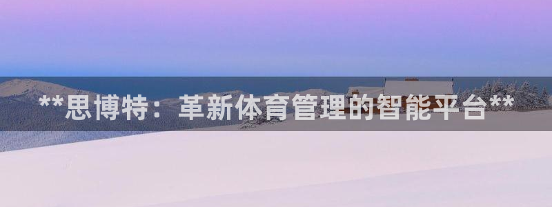 必一体育旧版：**思