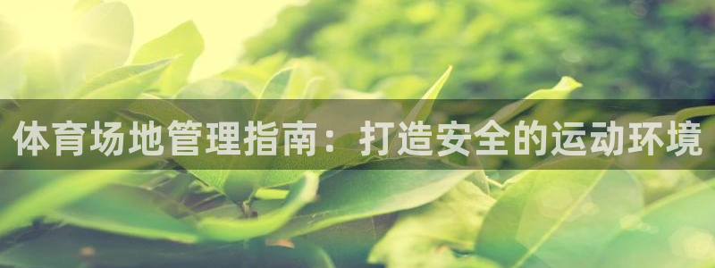 必一体育app官方正版下载