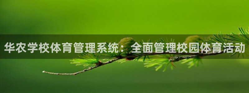 必一体育黑钱
