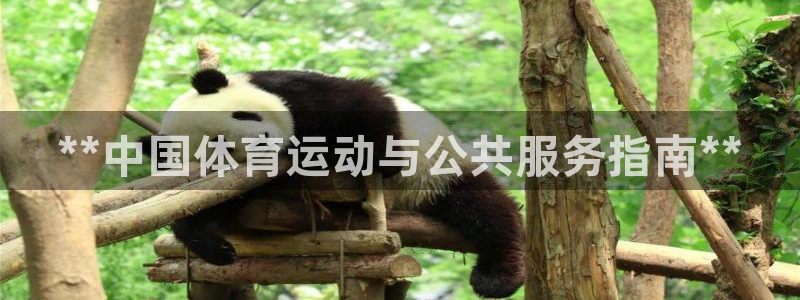 必一运动体育官网