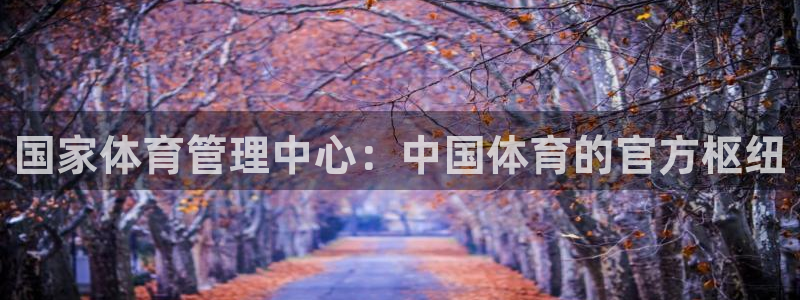 必一体育手机下载