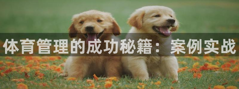必一运动短信