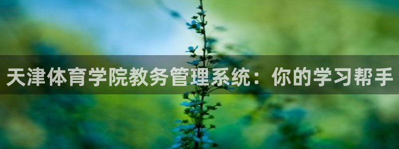 必一体育在线玩