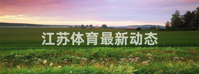 必一体育是啥