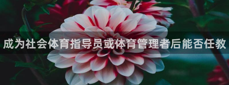 必一体育app官方：