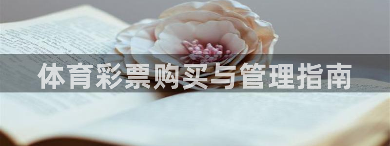 必一体育sport下载
