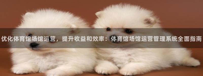 必一体育在哪下：优化