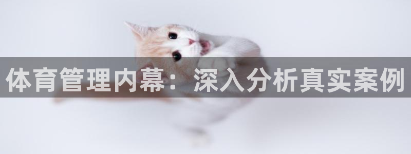 必一体育网站