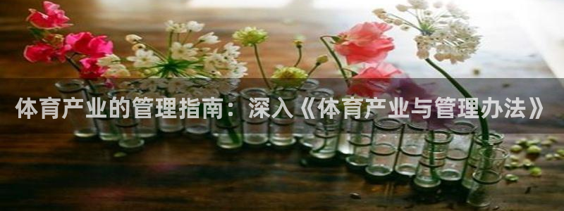 必一体育运动下载