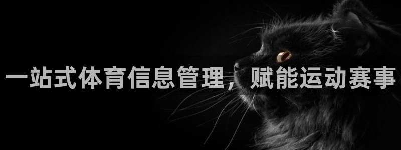 必一体育登录APP下