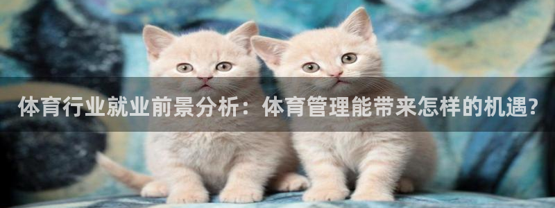 必一体育下载app：