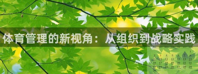 必一体育登录：体育管理的新视角：从组织到战略实践