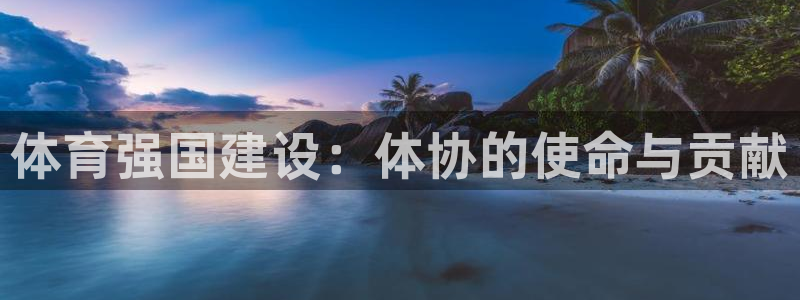 必一体育app官方网