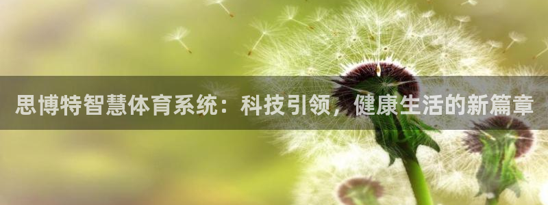 必一体育sportB