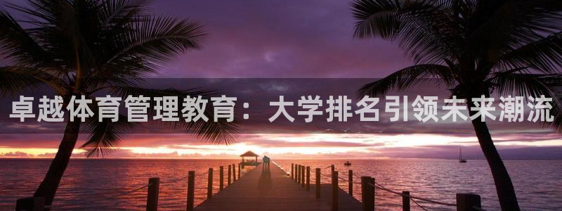 必一体育下载义：卓越