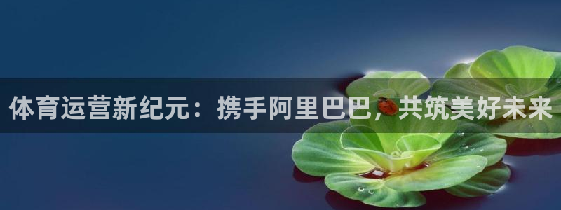 必一体育app官方网