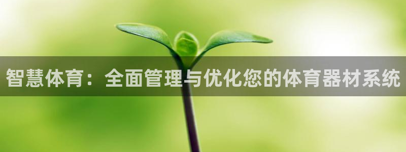 必一体育app平台下