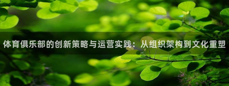 必一运动sport爱