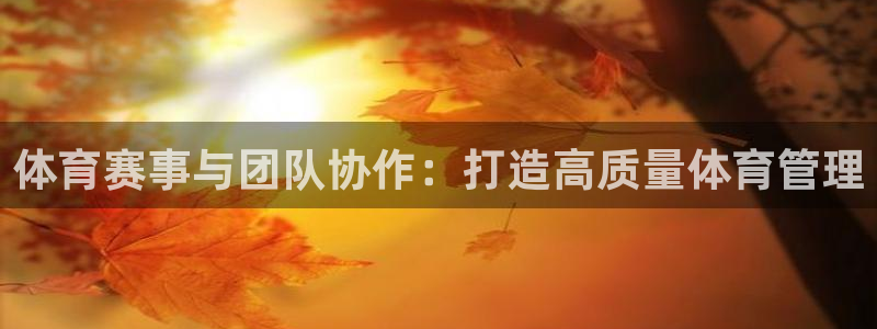 必一体育登入：体育赛事与团队协作：打造高质量体育管理