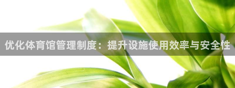必一体育在线玩：优化