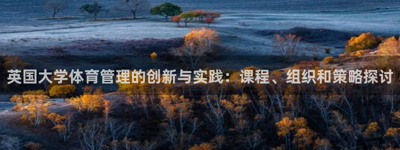 必一体育app官方正