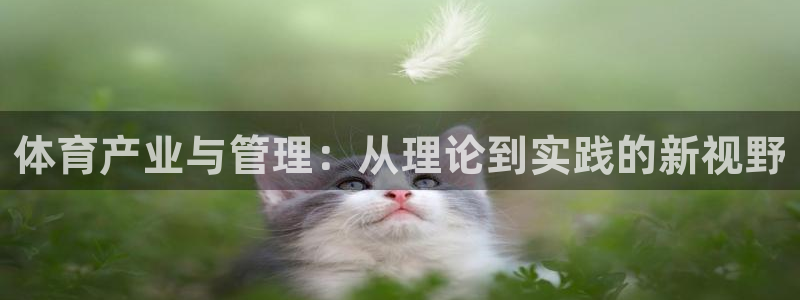 必一运动sport网