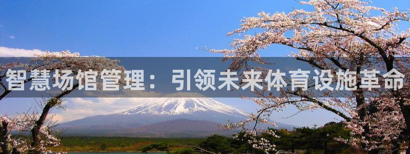必一体育app官方：智慧场馆管理：引领未来体育设施革命
