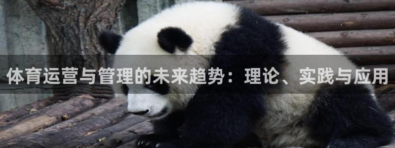 必一体育平台