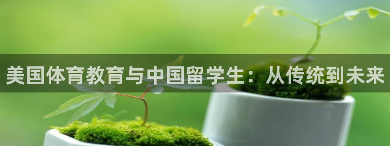 必一体育sport下
