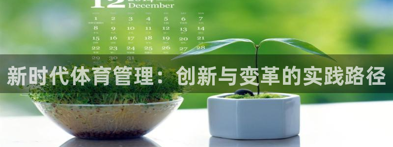 必一体育bsport