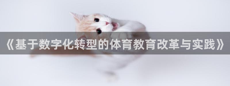 必一体育网站：《基于