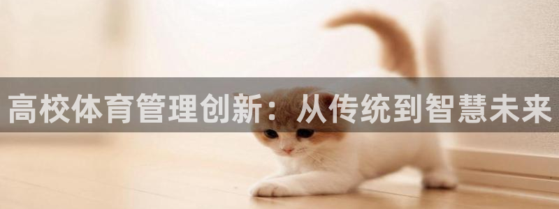 必一体育没了：高校体