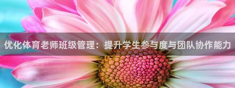 必一体育网页：优化体