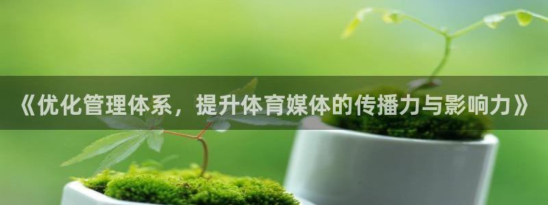 必一运动官网：《优化