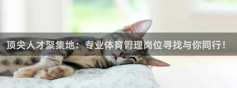 必一体育官网ios下载：顶尖人才聚集地：专业体育管理岗位寻找