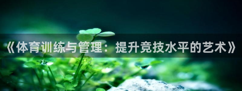 必一体育服下载最新版
