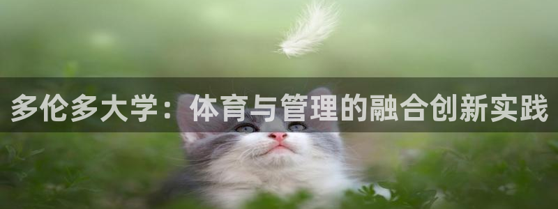 必一体育sport：