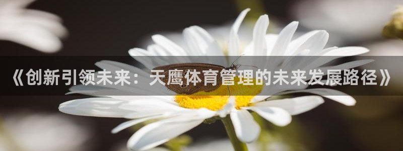 必一体育网页登陆：《