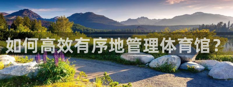 必一体育官方下载入口：如何高效有序地管理体育馆？